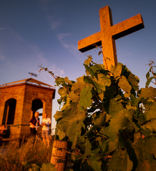 Staufenberg - Aussichtspunkt & Picknickplatz | Heilbronn | HeilbronnerLand