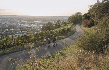 Wein Panorama Weg Heilbronn | © Heilbronn Marketing GmbH