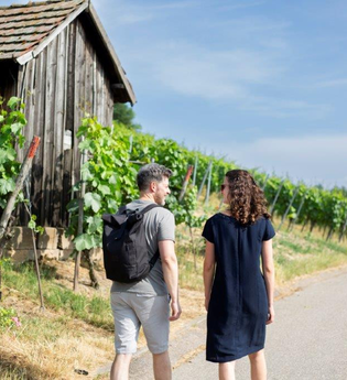 Schlendern und Schmecken: Heilbronner Weintradition erleben | © Heilbronn Marketing GmbH