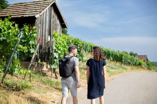 Schlendern und Schmecken: Heilbronner Weintradition erleben | © Heilbronn Marketing GmbH