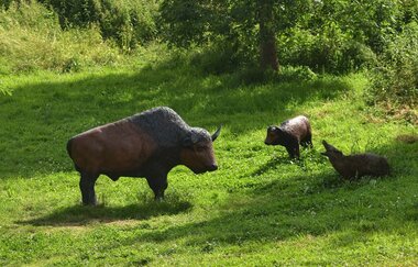 OX-BoW Bogenschießen | Jagsthausen | HeilbronnerLand | © OX-BoW Bogenschießen