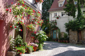 Blick in die Schwibbogengasse mit idyllischen Rosen und Fachwerkhäusern | © Stadt Bad Wimpfen