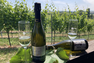 zwei Sektflöten mit Sekt darin und zwei Weinflaschen auf einem Geländer, im Hintergrund Weinlandschaft | © Nicole Betz