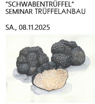 Seminartag Trüffelanbau Burgundertrüffel | © Michael Mörsel