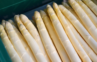 Spargel, Erdbeeren und Wein | Busgruppenprogramm | © Neckar-Zaber-Tourismus e.V.