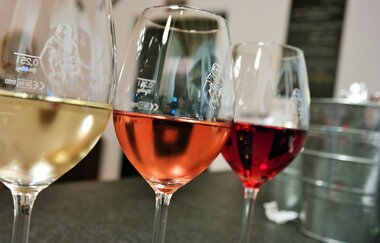 Spargel, Erdbeeren und Wein | Busgruppenprogramm | © Neckar-Zaber-Tourismus e.V.