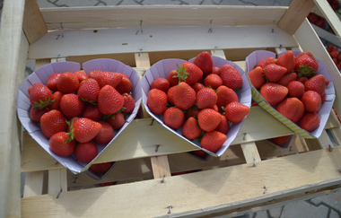 Spargel, Erdbeeren und Wein | Busgruppenprogramm | © Neckar-Zaber-Tourismus e.V.