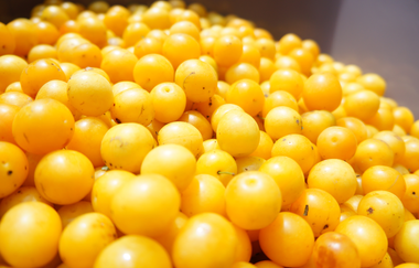 Destillat-Scheune Weiss | Brennerei | Wüstenrot | Neulautern | Weinsbergertal | © Tourismus im Weinsberger Tal e.V.