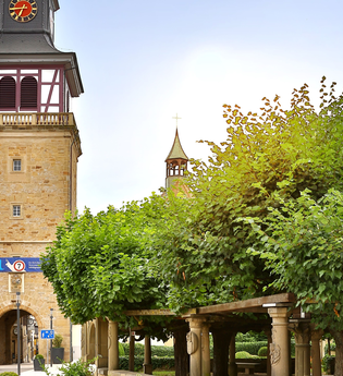 Historische Lindenanlage mit Torturm | Neuenstadt am Kocher | HeilbronnerLand | © Arbeitsgemeinschaft Kocher-Jagst-Radweg