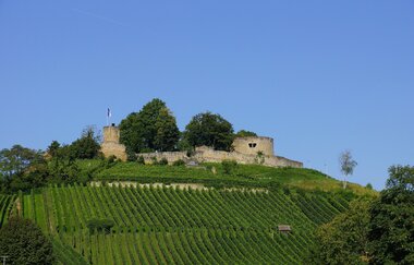 Burgruine Weibertreu | Weinsberg | HeilbronnerLand | © Tourismus im Weinsberger Tal