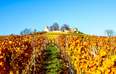 Burgruine Weibertreu |  Weinsüden Weinort Weinsberg | HeilbronnerLand | © Touristikgemeinschaft HeilbronnerLand