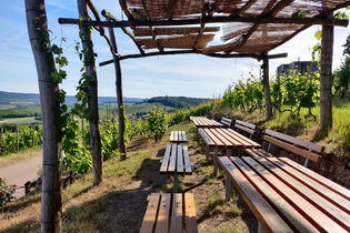 Picknickplatz im Brackenheimer Zweifelberg | HeilbronnerLand | © Touristikgemeinschaft HeilbronnerLand