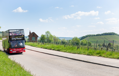 der rote Doppeldeckerbus fährt auf einem asphaltierten Weinbergweg entlang von Weinreben | © Heilbronn Marketing GmbH
