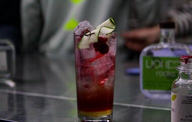 Lioness Rocks | Löwenstein-Hößlinsülz | Destillerie | Cocktails | Mocktails | Brennerei | Tastings | Hofladen | Weinsberger Tal | © Tourismus im Weinsberger Tal e.V.
