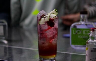 Lioness Rocks | Löwenstein-Hößlinsülz | Destillerie | Cocktails | Mocktails | Brennerei | Tastings | Hofladen | Weinsberger Tal | © Tourismus im Weinsberger Tal e.V.