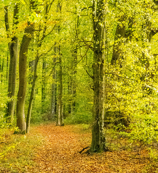 Tauche ein in die Stille der Natur | © Jennifer Reisner Fotografie