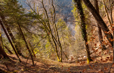 Tauche ein in die Stille der Natur | © Jennifer Reisner Fotografie