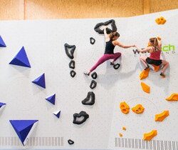 Zwei Frauen in Sportkleidung klettern an einer Indoor Wand mit verschiedenen Schwierigkeitsgraden. Die Wand ist weiß die Kletterelemente sind in blau, schwarz und orange gehalten