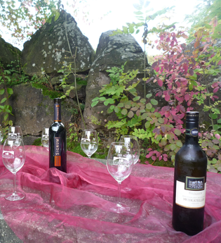 Weinerlebnistour | Regine Sommerfeld | HeilbronnerLand | © Regine Sommerfeld