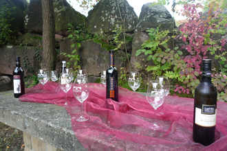 Weinerlebnistour | Regine Sommerfeld | HeilbronnerLand | © Regine Sommerfeld