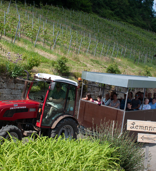 roter Traktor mit überdachtem Anhänger auf dem eine Gruppe gutgelaunter Menschen sitzt. Der Traktor fährt über befestigte Weinbergwege. Im Hintergrund ist ein Steilhang mit Weinreben zu sehen