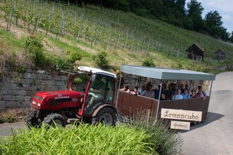 roter Traktor mit überdachtem Anhänger auf dem eine Gruppe gutgelaunter Menschen sitzt. Der Traktor fährt über befestigte Weinbergwege. Im Hintergrund ist ein Steilhang mit Weinreben zu sehen
