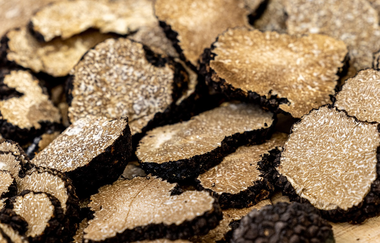 Trüffelspaziergang | © Michael Mörsel