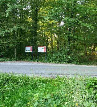 Führung: UNESCO Welterbe versteckt im Wald in Zweiflingen | © Doris Köhler