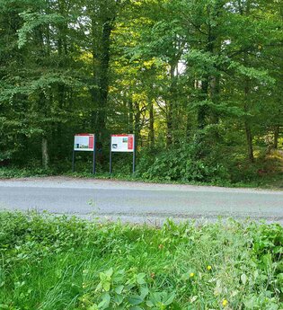 Führung: UNESCO Welterbe versteckt im Wald in Zweiflingen | © Doris Köhler