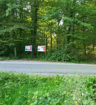 Führung: UNESCO Welterbe versteckt im Wald in Zweiflingen | © Doris Köhler