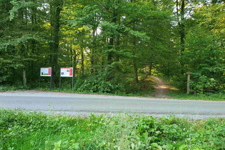 Führung: UNESCO Welterbe versteckt im Wald in Zweiflingen | © Doris Köhler
