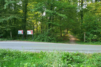 Führung: UNESCO Welterbe versteckt im Wald in Zweiflingen | © Doris Köhler
