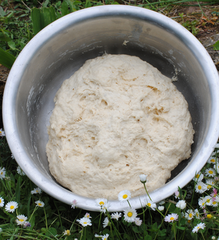 Unser täglich Brot | Seminar mit Annette Pfeiffer | © Neckar-Zaber-Tourismus e.V.