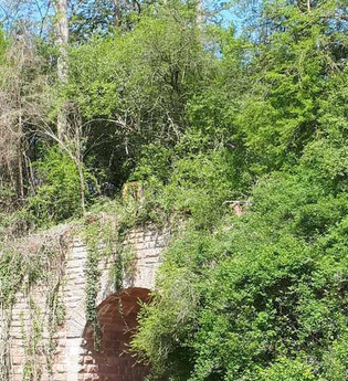 Vergessene Bahnstrecke Meckesheim - Wiesloch