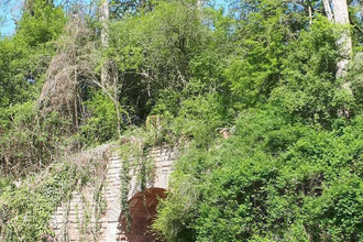 Vergessene Bahnstrecke Meckesheim - Wiesloch