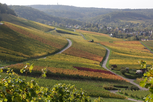 "DieWeinschmeckerin" Nicole Halter | zertifizierte Weinerlebnisführerin Baden-Württemberg | © Nicole Halter
