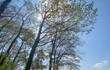 Vergnügt genügsam - achtsamer Naturspaziergang - speziell für Frauen | Waldbaden in der Neckar-Zaber-Region mit Helga Naujoks | © Neckar-Zaber-Tourismus e.V.