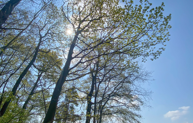 Vergnügt genügsam - achtsamer Naturspaziergang - speziell für Frauen | Waldbaden in der Neckar-Zaber-Region mit Helga Naujoks | © Neckar-Zaber-Tourismus e.V.