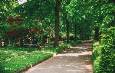 Ein gepflegter, schattiger Weg durch einen Friedhof an einem sonnigen Tag.  Der Weg ist der Mittelpunkt und verläuft durch eine Reihe von Bäumen, die einen dichten, grünen Baldachin über dem Pfad bilden, der von hellem Sonnenlicht durchdrungen ist.