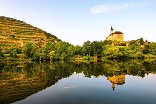 Steillagen-Areal Gundelsheimer Himmelreich | Neckartal | HeilbronnerLand | © Touristikgemeinschaft HeilbronnerLand