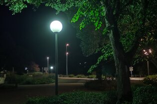 Vortrag „Licht aus für Natur und Nacht“ mit Stefan Bosch