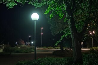Vortrag „Licht aus für Natur und Nacht“ mit Stefan Bosch