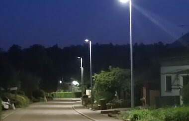Vortrag „Licht aus für Natur und Nacht“ mit Stefan Bosch