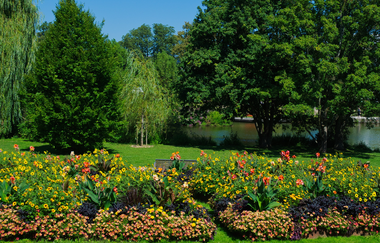 Blumenbepflanzung in den Parkanlagen I Bad Rappenau I HeilbronnerLand | © Stadt Bad Rappenau