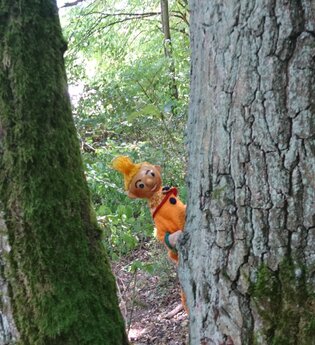 Wichtel hinter Baum