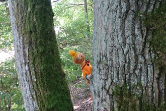 Wichtel hinter Baum