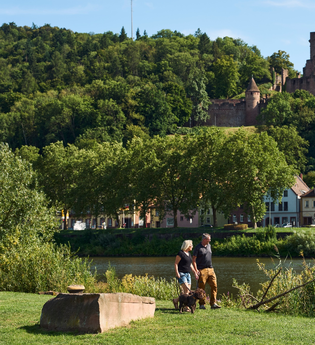 Wandern in und um Wertheim | © Liebliches Taubertal