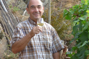 Wanderung auf den Spuren der Weinhändler Familie Buchler