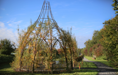 Weidenkirche am Weidenlehrpfad Kleingartach | Eppingen | HeilbronnerLand | © Große Kreisstadt Eppingen