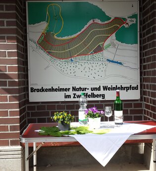 Wein - Sensorik - Kulinarik